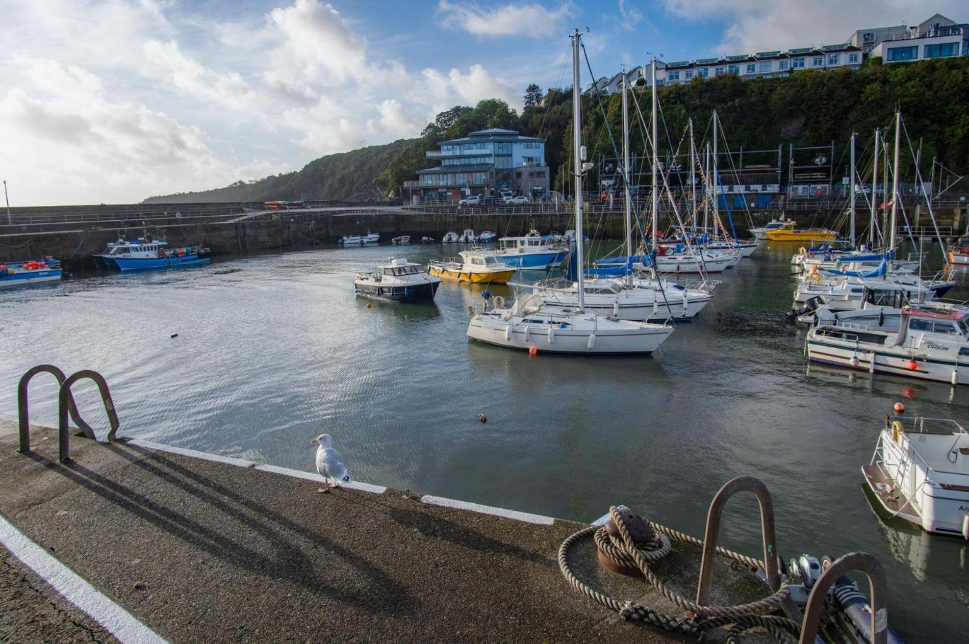 Ocean Cabins No 3 At The Square - Saundersfoot Quarto foto